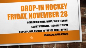 ThanksgivingDrop-InHockey