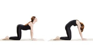 Morning yoga sequence of 12 poses