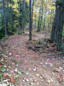 Trails Fall