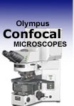 Confocal Microscopes