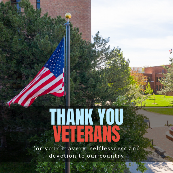 Image of an American flag with a message saying "Thank you veterans for your bravery, selflessness and devotion to our country."