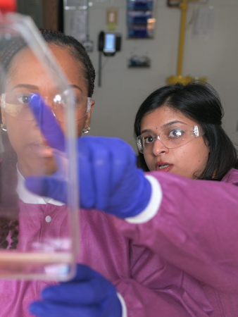 Vaishali Sharma working in the lab