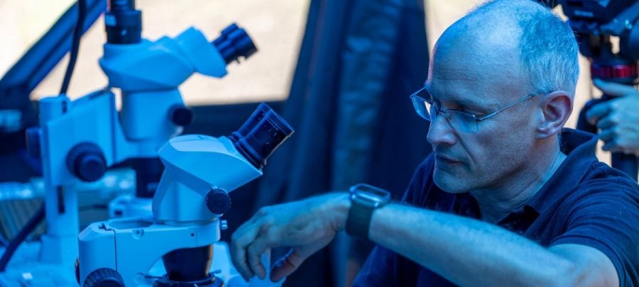 Thomas Werner sits inside his mobile lab tent in front of a microscope, imaging fruit flies. The lighting is tinted blue as it filters through the tent walls.