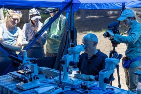 Thomas Werner sits in his mobile lab capturing images of fruit flies with a microscope. Multiple microscopes and other lab equipment sits in front of him on a picnic table. He is speaking to three Stanford students who stand just outside the tent. A filmmaker stands behind Werner with a tripod and camera, filming the process.