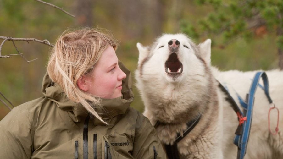 Norwegian student smiles softly at her howling sled dog in this frame from the film "Folktales" (Ewing/Grady, 2025)