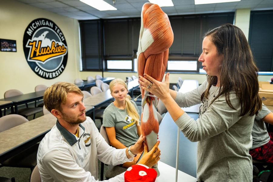 An instructor in a Michigan Tech classroom points out individual muscles on an anatomical model for two nearby students.