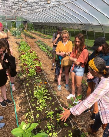 Students in a greenhouse inspecting plants
