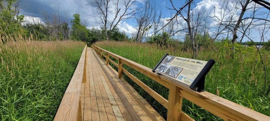 Boardwalk on the Chassell Historic Trailab above swampy land with reeds and cattails