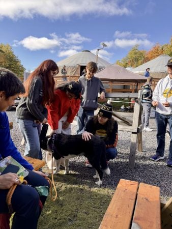 a group of diverse students enjoying a trip to see fall colors. 