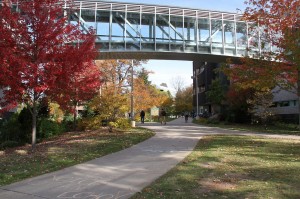 Skywalk