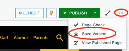 Save Version option in the More Actions menu of the page.