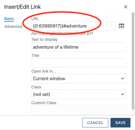 Insert Link window showing the hashtag link to an ID on a different page with an internal page link.